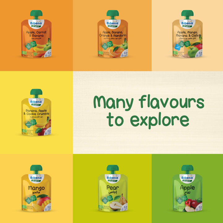 Bibena Organic Puree, Pear from 6 months 100g